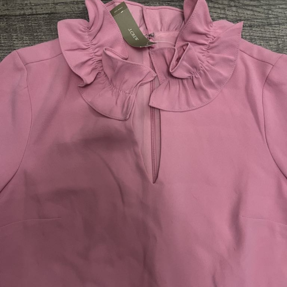 Pink Ruffled J Crew Dress - Picture 4 of 5